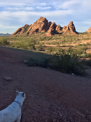 Bark Park at Papago Park photo 2